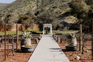 Weddings at Reptacular Animals Ranch in the Forest - 6