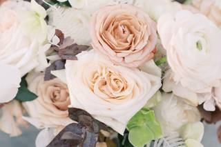 Kismet Flowers - 82
