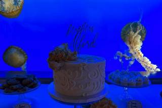 The Toledo Zoo - 43
