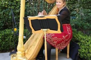 Orange County Harpist - 2