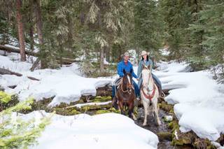 MooseHeart Photography - 6