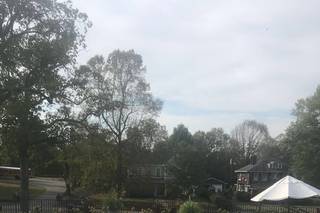 Mustard Seed Hill - 21