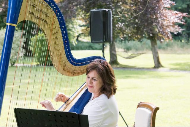 A Harpist in Paris - 3