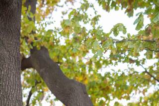 Bloom Photography - 23