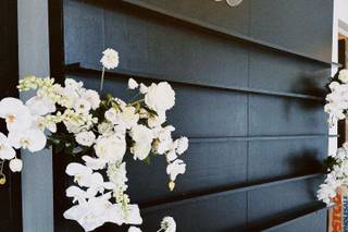 Wisteria Designs - 5