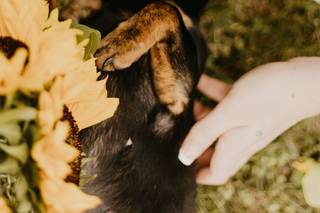 Riley Guenther Photography - 21