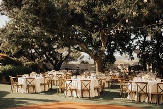 Wheat and Honey Weddings and Events - 7