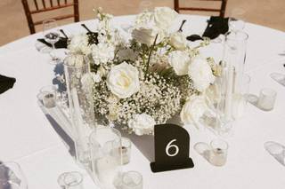 Lovely Peonies - 26