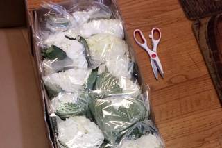 Wildrose Floral Design - 123