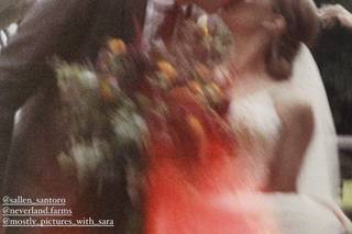 Native Tree Films - 10