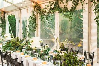 PeterJames Floral Couture - 7