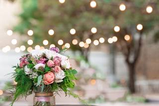 Tara Williams Photography - 23