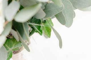 Blooms Floral Design - 61