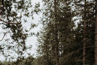 Lake and Wood - 37