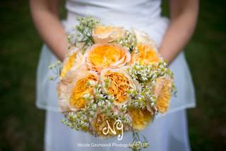Nicole Gesmondi Photographer, LLC - 18