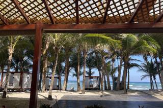 Honeymoons, Inc. - 44