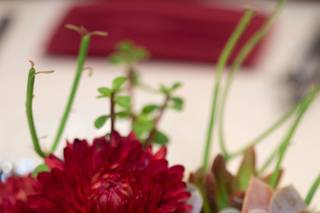Fiori Floral Design - 21