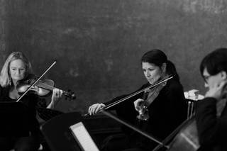 Olmsted String Quartet - 1