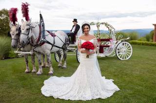 Kleinfeld Bridal - 80
