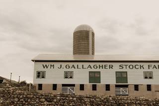 The Gallagher - 14