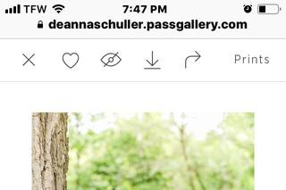 Deanna Schuller Photography & Creative - 9