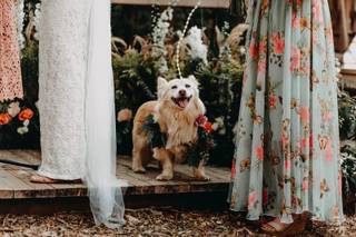 Christine Flower Photography - 12