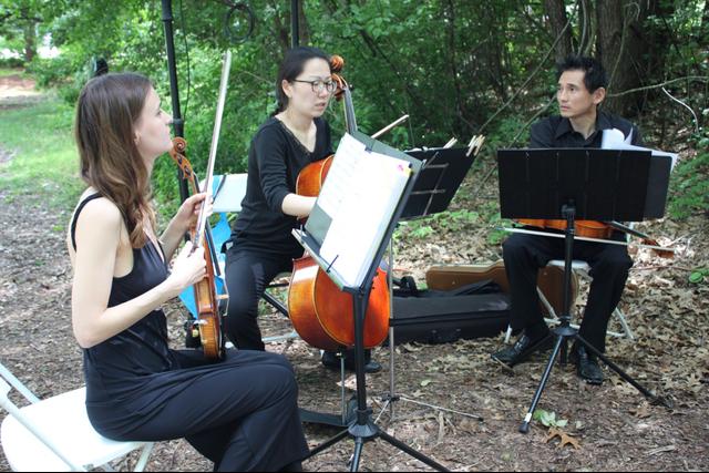 August Strings - 2