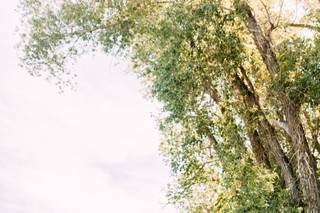 Twigs and Posies - 6