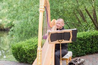 Vince Zentner Harpist - 7