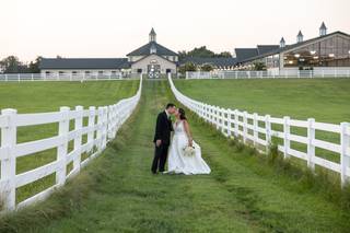 Dave McIntosh Photographics - 14