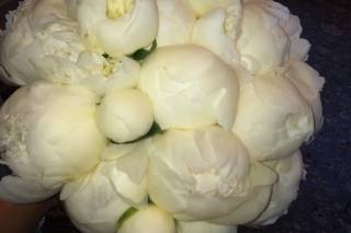 Dahlia Floral & Event Design - 122