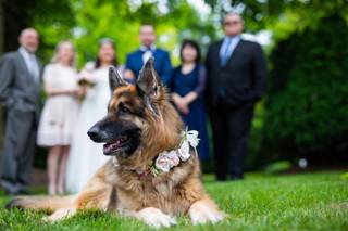 Nesh Photography - 37