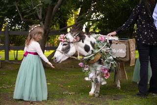 Haul N Ass Productions - 95