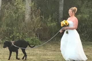 Port Charlotte Florist - 40