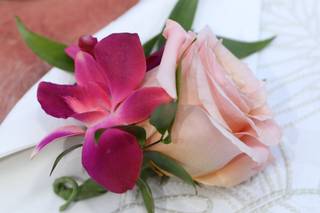 La Maison des Fleurs - 28