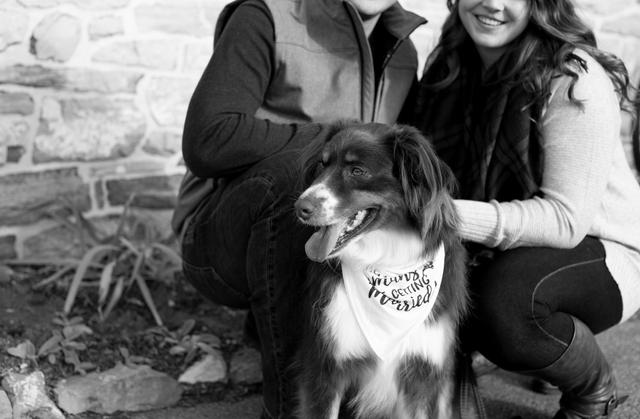 Morgan Dietrich Photography - 4