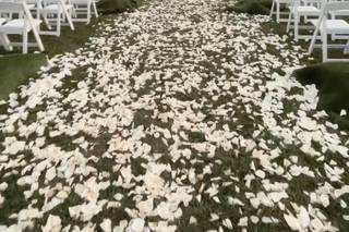 Elegant Events by Nutan - 12