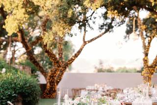 The Blushing Details - 42