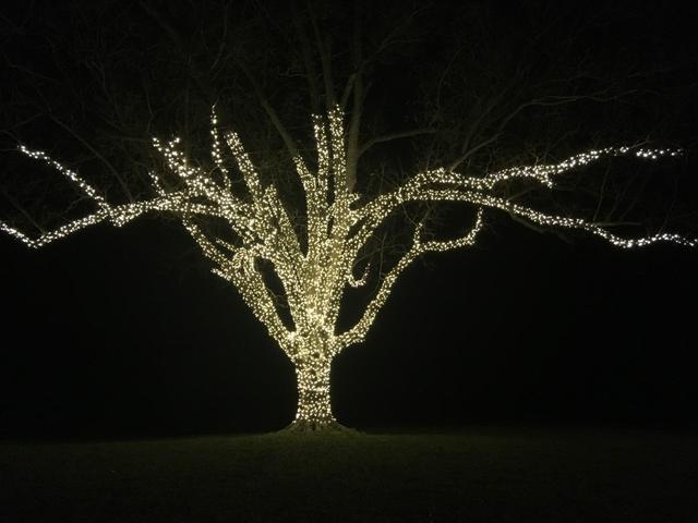 Gaither's at Myrtle Creek Farm - 1