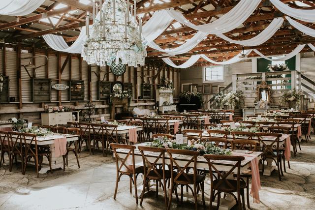 Grey Cardinal Events - 3
