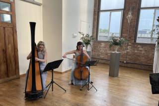 Michelle Campbell - Harpist - 9