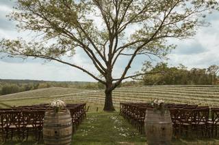 Montaluce Winery - 17