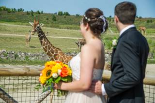 Wes Mosley Photography - 5
