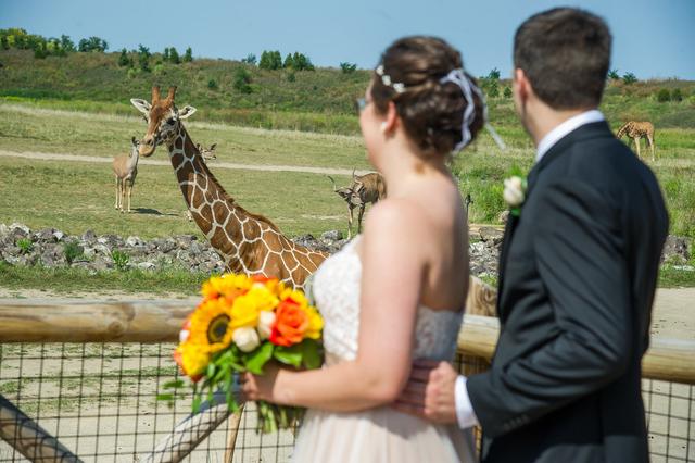 Wes Mosley Photography - 1