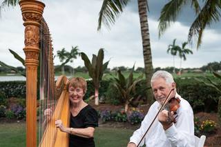 Kraichy and Erickson Harp and Violin - 6