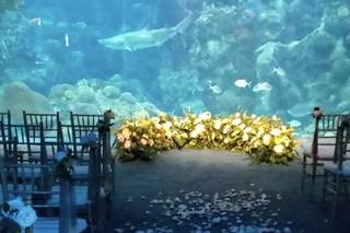 The Florida Aquarium - 38