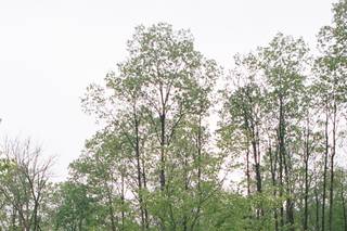 Canvas Weddings - 13