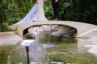 Jorge Rodriguez Photography - 60