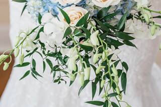 Bernard Alexis Photography - 114