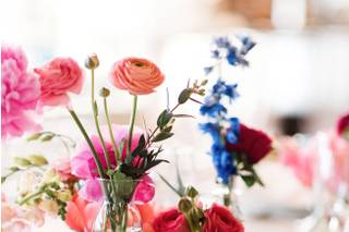 Kirsten Zarek Photography - 8